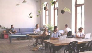 twenty-fifty-co-work-cbd-cape-town